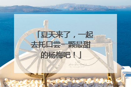 夏天来了，一起去托口尝一颗最甜的杨梅吧！