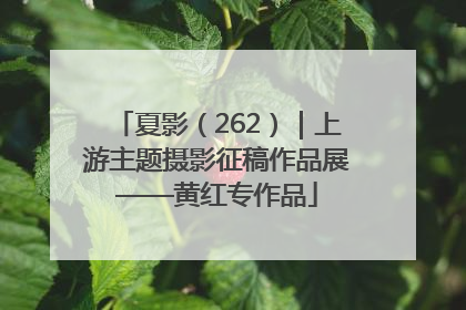 夏影（262）｜上游主题摄影征稿作品展——黄红专作品