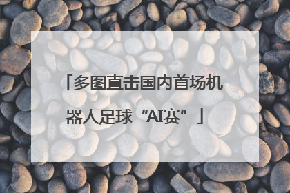 多图直击国内首场机器人足球“AI赛”