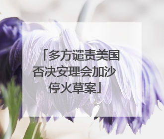 多方谴责美国否决安理会加沙停火草案