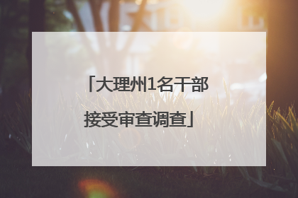 大理州1名干部接受审查调查