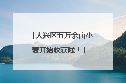 大兴区五万余亩小麦开始收获啦！
