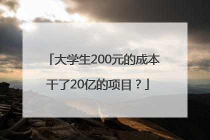 大学生200元的成本干了20亿的项目？