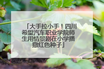 大手拉小手！四川希望汽车职业学院师生用情景剧在小学播撒红色种子