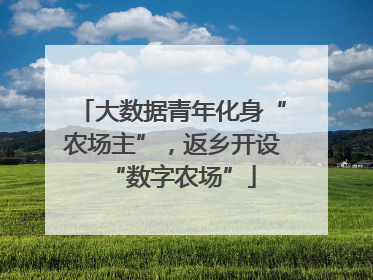 大数据青年化身“农场主”，返乡开设“数字农场”