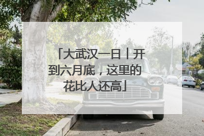 大武汉一日︱开到六月底，这里的花比人还高