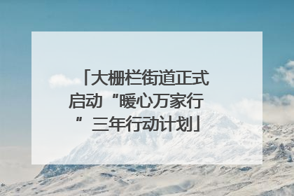 大栅栏街道正式启动“暖心万家行”三年行动计划