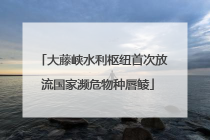 大藤峡水利枢纽首次放流国家濒危物种唇鲮