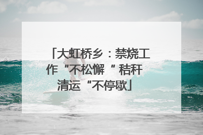 大虹桥乡：禁烧工作“不松懈“ 秸秆清运“不停歇