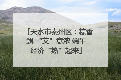天水市秦州区：粽香飘 “艾”意浓 端午经济“热”起来