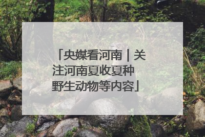 央媒看河南｜关注河南夏收夏种 野生动物等内容