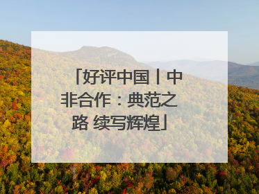 好评中国丨中非合作：典范之路 续写辉煌
