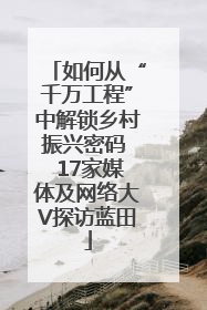 如何从“千万工程”中解锁乡村振兴密码  17家媒体及网络大V探访蓝田
