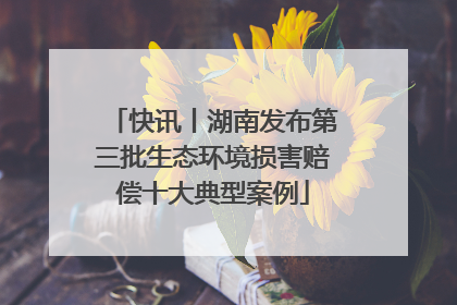 快讯丨湖南发布第三批生态环境损害赔偿十大典型案例