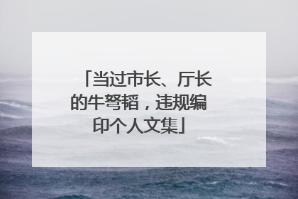 当过市长、厅长的牛弩韬，违规编印个人文集