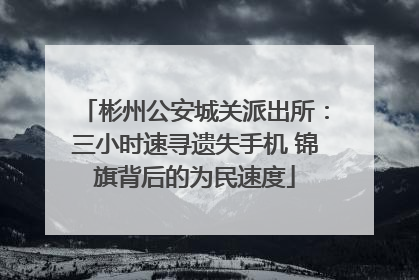 彬州公安城关派出所：三小时速寻遗失手机 锦旗背后的为民速度