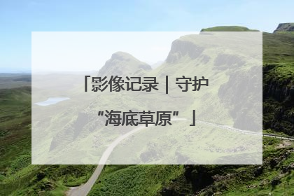 影像记录｜守护“海底草原”