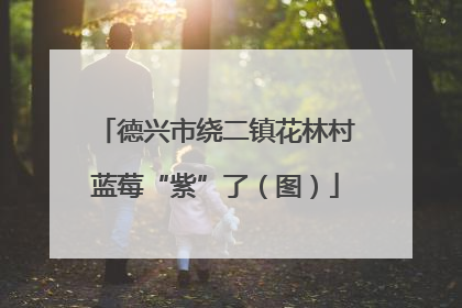 德兴市绕二镇花林村蓝莓“紫”了（图）