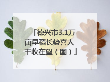 德兴市3.1万亩早稻长势喜人 丰收在望（图）