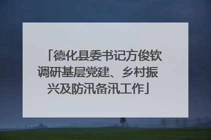 德化县委书记方俊钦调研基层党建、乡村振兴及防汛备汛工作