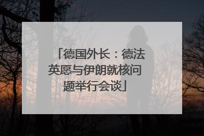 德国外长：德法英愿与伊朗就核问题举行会谈