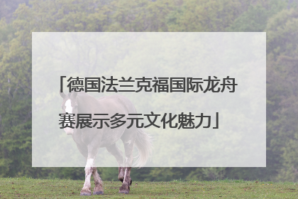 德国法兰克福国际龙舟赛展示多元文化魅力