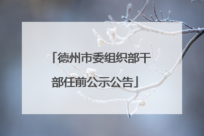 德州市委组织部干部任前公示公告