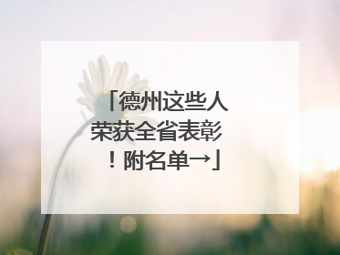 德州这些人荣获全省表彰！附名单→