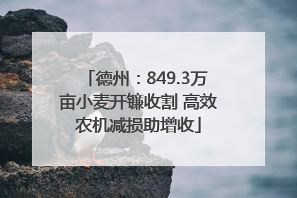 德州：849.3万亩小麦开镰收割 高效农机减损助增收