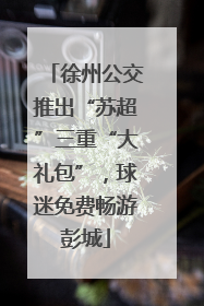 徐州公交推出“苏超”三重“大礼包”，球迷免费畅游彭城