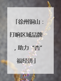 徐州铜山：打响区域品牌，助力“杏”福经济