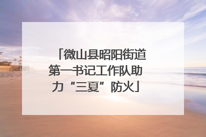 微山县昭阳街道第一书记工作队助力“三夏”防火