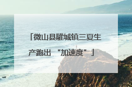 微山县驩城镇三夏生产跑出 “加速度”
