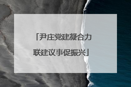 尹庄党建凝合力 联建议事促振兴