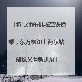 将与浦东机场空铁换乘，东方枢纽上海东站建设又有新进展