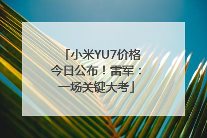 小米YU7价格今日公布！雷军：一场关键大考