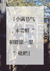 小满节气，来尝鲜“初夏第一果”枇杷