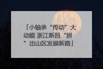 小轴承“传动”大动能 浙江新昌“拼”出山区发展新路