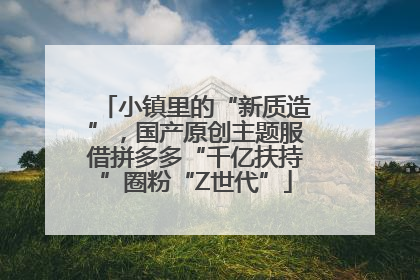 小镇里的“新质造”，国产原创主题服借拼多多“千亿扶持”圈粉“Z世代”
