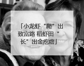 小龙虾“爬”出致富路 稻虾田“长”出金疙瘩