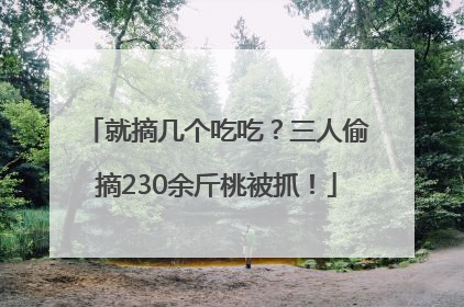 就摘几个吃吃？三人偷摘230余斤桃被抓！