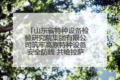 山东省特种设备检验研究院集团有限公司筑牢高原特种设备安全防线 共绘拉萨美好生活画卷
