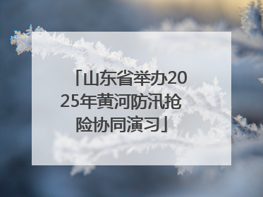 山东省举办2025年黄河防汛抢险协同演习