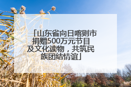 山东省向日喀则市捐赠500万元节目及文化读物，共筑民族团结情谊