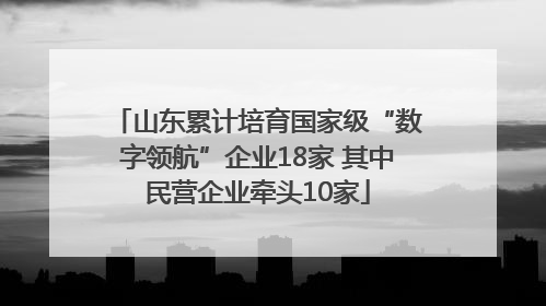 山东累计培育国家级“数字领航”企业18家 其中民营企业牵头10家