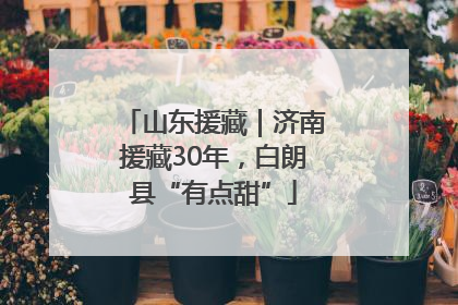 山东援藏｜济南援藏30年，白朗县“有点甜”