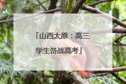 山西太原：高三学生备战高考