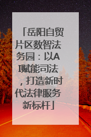 岳阳自贸片区数智法务园：以AI赋能司法，打造新时代法律服务新标杆