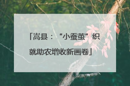 嵩县：“小蚕茧”织就助农增收新画卷