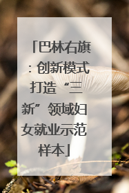 巴林右旗：创新模式 打造“三新”领域妇女就业示范样本